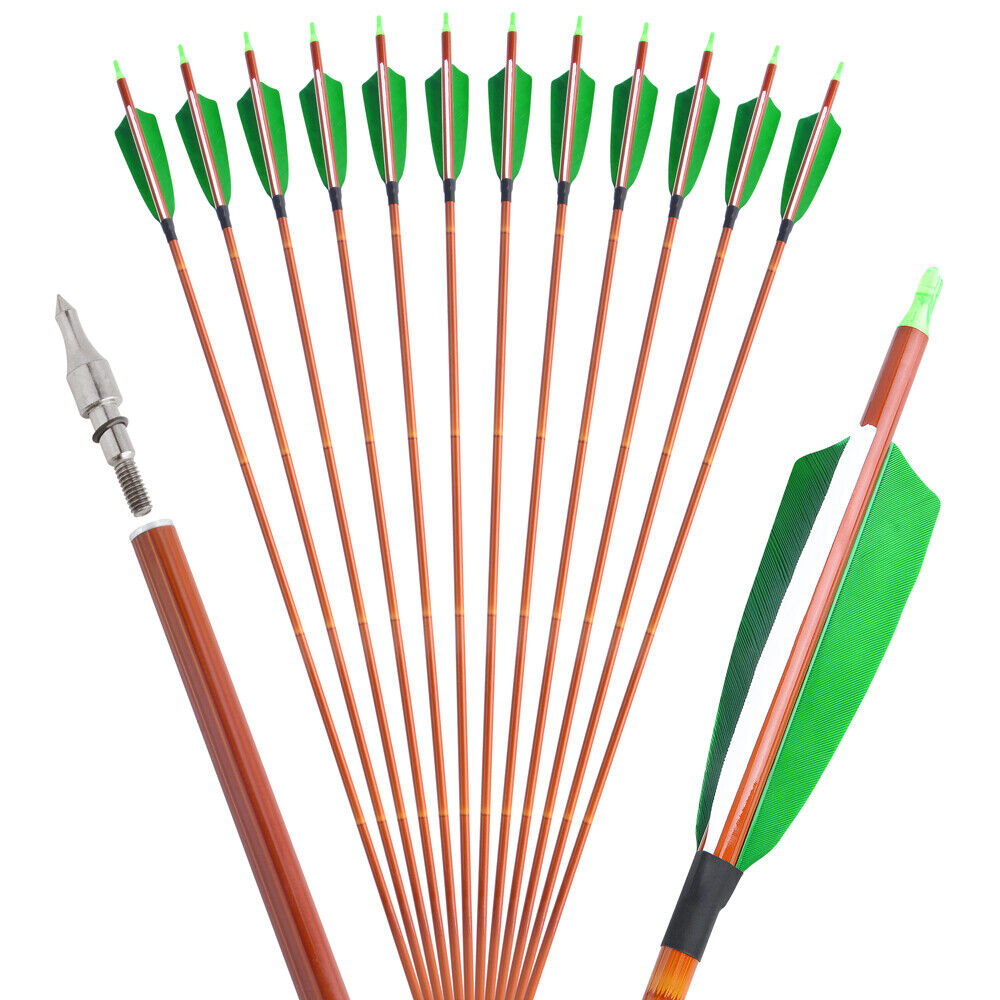 12pcs Archery 30" Carbon Arrows 4" Feathers SP500 Compound Recurve Bow Target Hunting